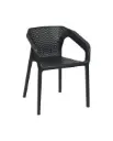 Stylee Cafe Arm Chair BLK/LG